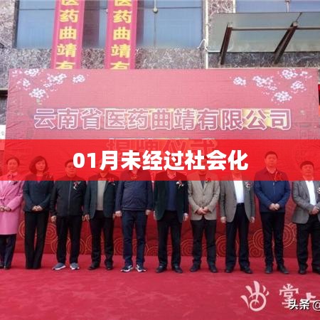 产品中心 第947页