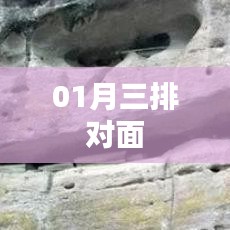 根据您的需求，以下是一个符合要求的标题，，一月三排对面，精彩瞬间不容错过。