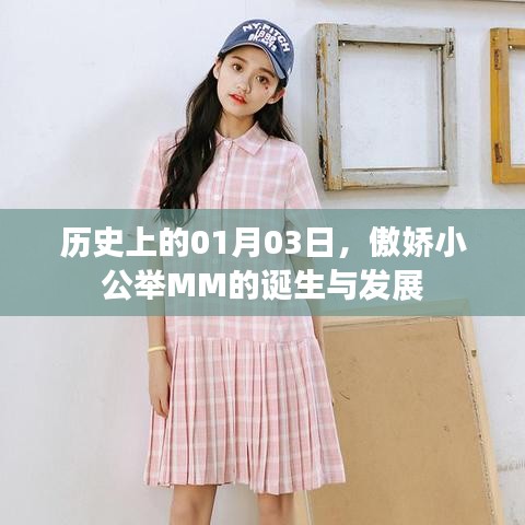 傲娇小公举MM的诞生与成长历程——历史上的1月3日