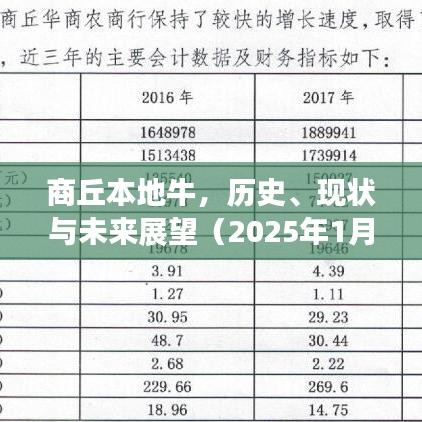商丘牛业，历史传承、现状解析与未来展望