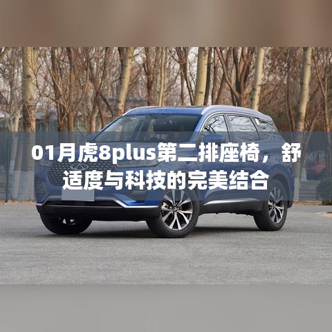 01月虎8plus第二排座椅，舒适度与科技的融合体验