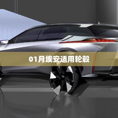 埃安适用轮毂一月份选购指南