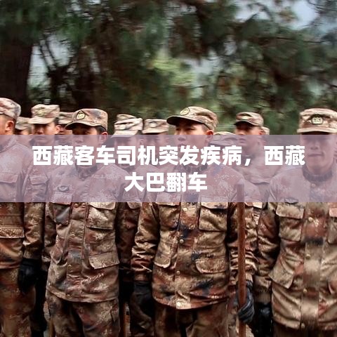 精品斯诺克台球桌 第159页