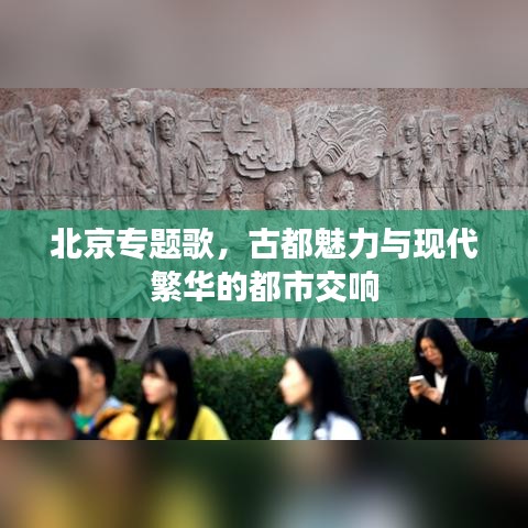 产品中心 第939页