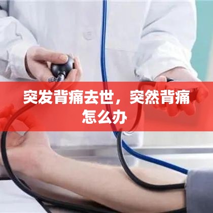 突发背痛去世，突然背痛怎么办 