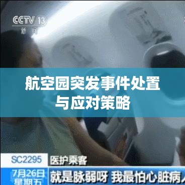 航空园突发事件处置与应对策略