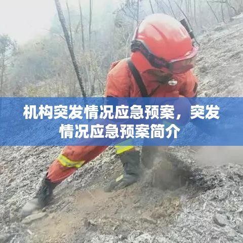 机构突发情况应急预案,突发情况应急预案简介