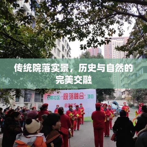 传统院落实景，历史与自然的完美交融