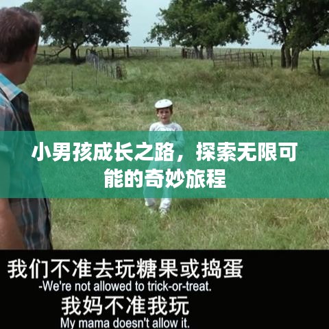 小男孩成长之路,探索无限可能的奇妙旅程
