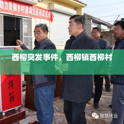 西柳突发事件，西柳镇西柳村 