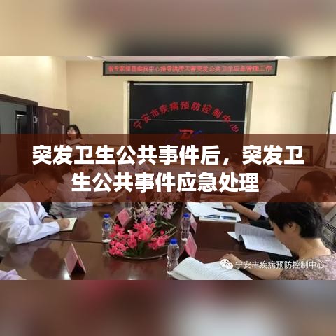 突发卫生公共事件后，突发卫生公共事件应急处理 