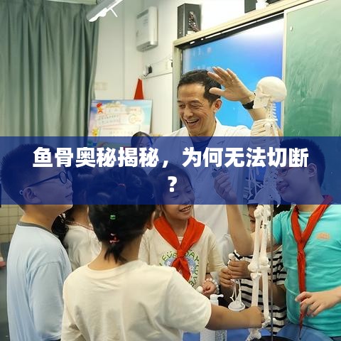 勇往直前 第7页