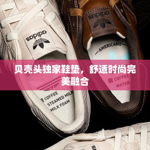 贝壳头独家鞋垫，舒适时尚完美融合