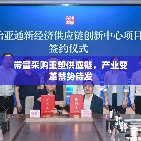 带量采购重塑供应链，产业变革蓄势待发