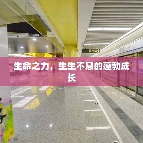 生命之力,生生不息的蓬勃成长