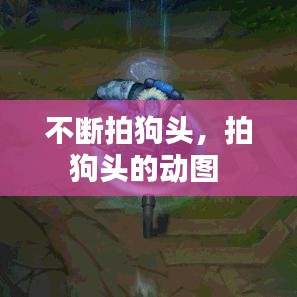 不断拍狗头,拍狗头的动图