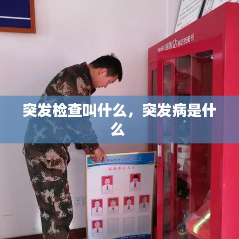 突发检查叫什么，突发病是什么 