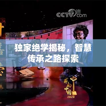 独家绝学揭秘,智慧传承之路探索