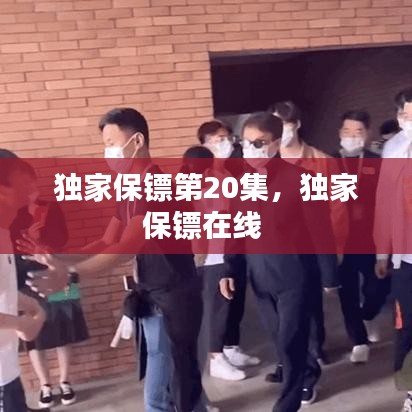 独家保镖第20集，独家保镖在线 