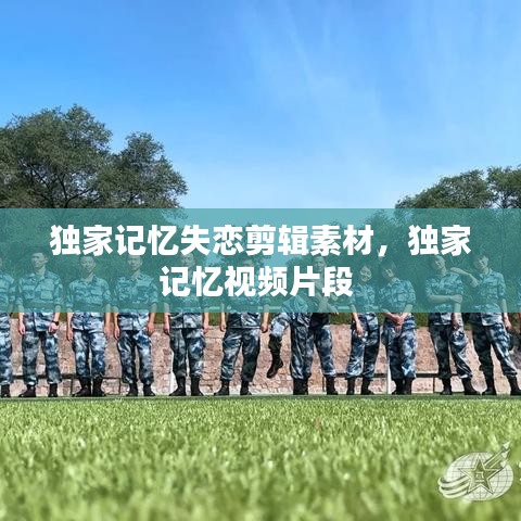 独家记忆失恋剪辑素材，独家记忆视频片段 