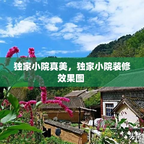 独家小院真美，独家小院装修效果图 