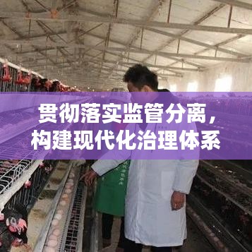 贯彻落实监管分离，构建现代化治理体系的必经之路