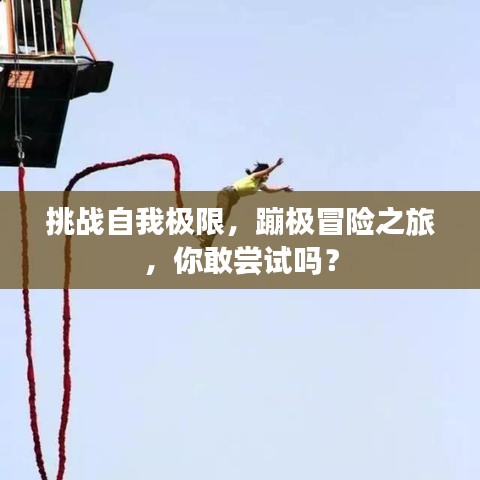 挑战自我极限，蹦极冒险之旅，你敢尝试吗？