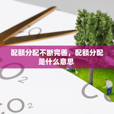 配额分配不断完善，配额分配是什么意思 