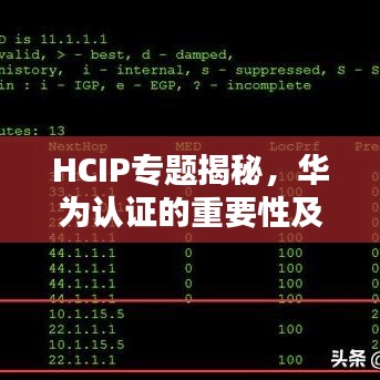 HCIP专题揭秘，华为认证的重要性及应用领域深度解析
