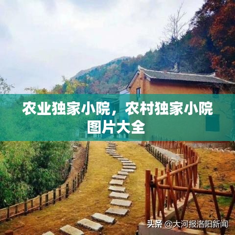 农业独家小院，农村独家小院图片大全 