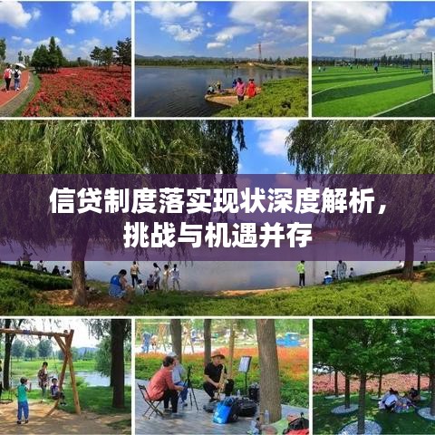 信贷制度落实现状深度解析，挑战与机遇并存