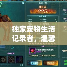 独家宠物生活记录者，温馨陪伴见证生命情缘