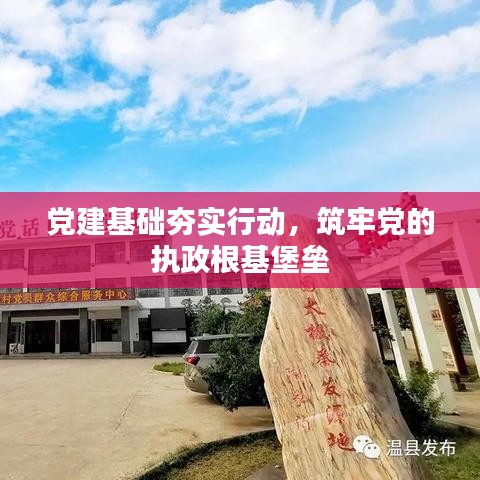 党建基础夯实行动，筑牢党的执政根基堡垒