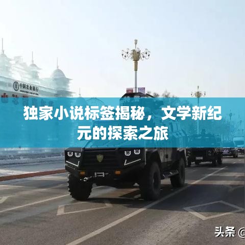 独家小说标签揭秘，文学新纪元的探索之旅