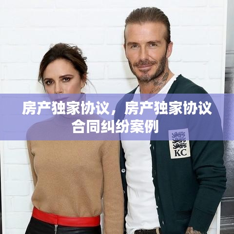 房产独家协议，房产独家协议合同纠纷案例 