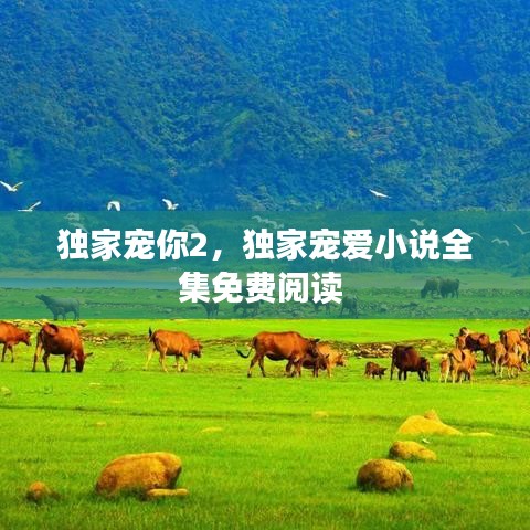 独家宠你2，独家宠爱小说全集免费阅读 