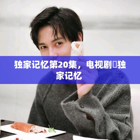 独家记忆第20集，电视剧巜独家记忆 