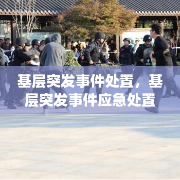基层突发事件处置，基层突发事件应急处置方法 