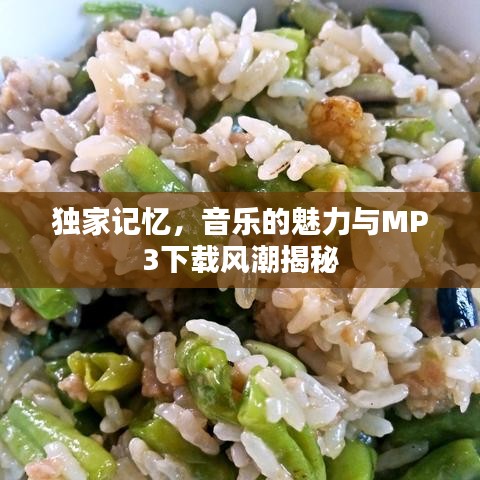 独家记忆，音乐的魅力与MP3下载风潮揭秘