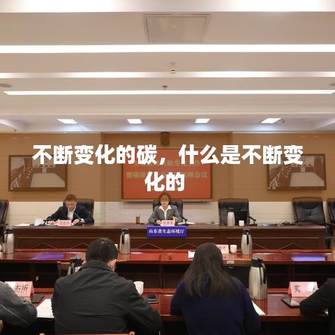 不断变化的碳，什么是不断变化的 