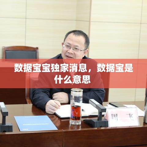 数据宝宝独家消息，数据宝是什么意思 