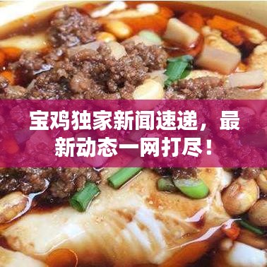 宝鸡独家新闻速递，最新动态一网打尽！