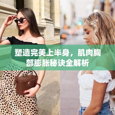 塑造完美上半身，肌肉胸部膨胀秘诀全解析