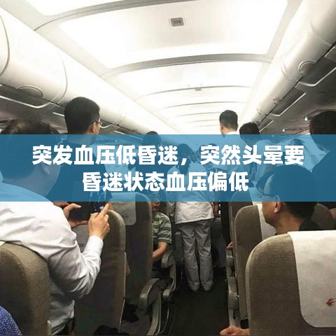 突发血压低昏迷,突然头晕要昏迷状态血压偏低