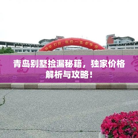 青岛别墅捡漏秘籍，独家价格解析与攻略！