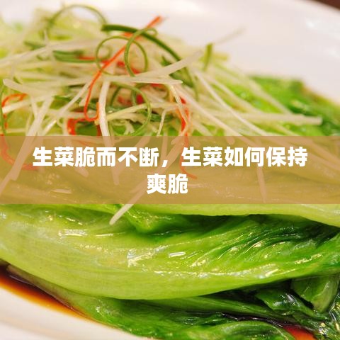 生菜脆而不断，生菜如何保持爽脆 