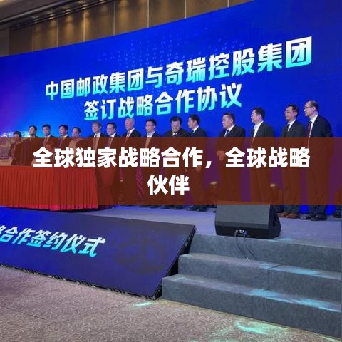 全球独家战略合作，全球战略伙伴 