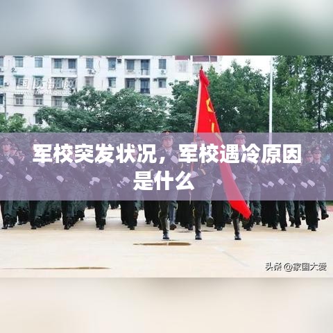 军校突发状况，军校遇冷原因是什么 