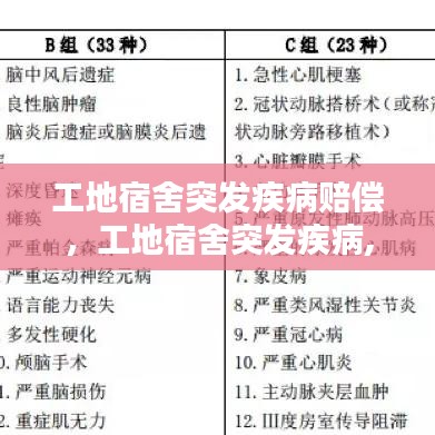 资质荣誉 第143页