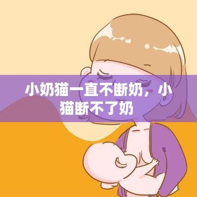 小奶猫一直不断奶，小猫断不了奶 